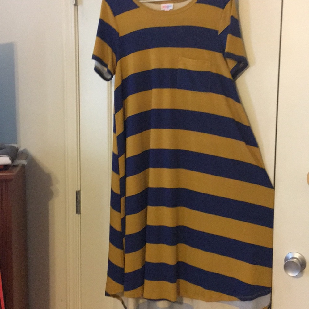 LuLaRoe Small Carly